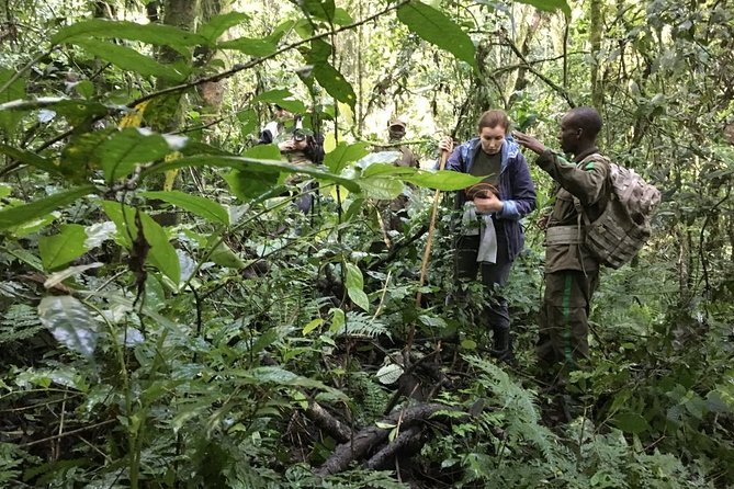 Experience Chimpanzee Trekking in Budongo Forest - Guides, transport, and the personal feel