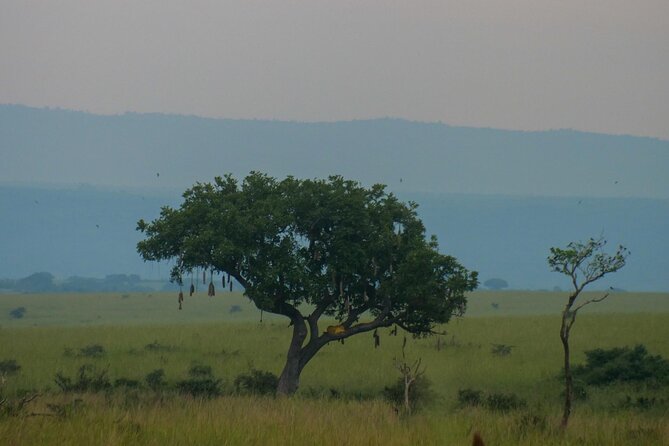 Exploring The Mighty Falls In Uganda - Why Ziwa Rhino Sanctuary earns its place