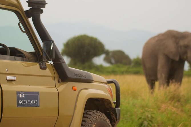Exploring The Mighty Falls In Uganda - A Nile boat cruise with hippos and elephants nearby