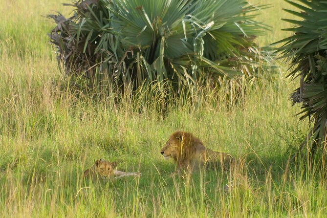 Exploring The Mighty Falls In Uganda - What the three-day schedule means for you