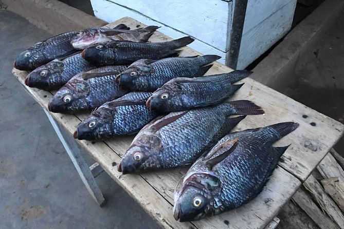 Fishing Village Food Tour & Luwombo Stop - Luwombo gives the tour its center