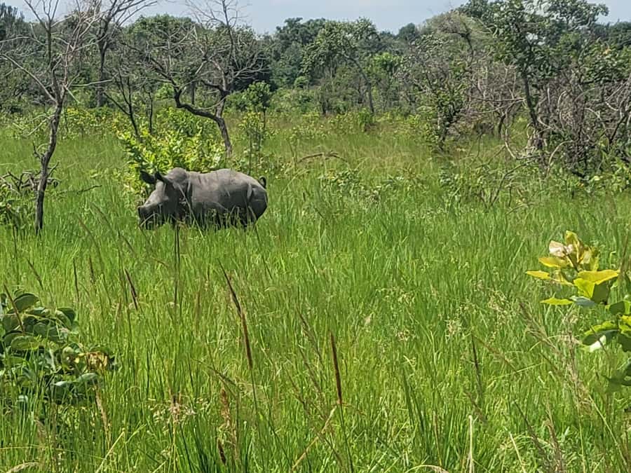 From Kampala: Ziwa Rhino Sanctuary Day Tour with Lunch - Breakfast at a local cafe