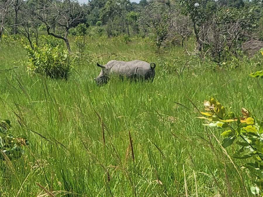 From Kampala: Ziwa Rhino Sanctuary Day Tour with Lunch - Entering Ziwa Rhino Sanctuary