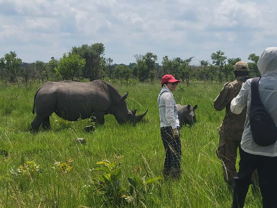 From Kampala: Ziwa Rhino Sanctuary Day Tour with Lunch - The 1.5 to 2.5 hour rhino trek