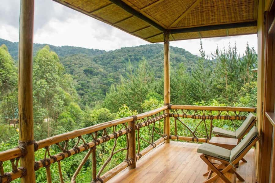 From Kigali: 2-Day Gorilla Trek: Bwindi Nat Park - Why this Kigali to Uganda trip is appealing