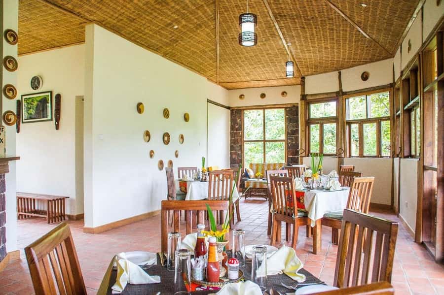 From Kigali: 3-Day Uganda Gorilla and Monkey Safari Trek - The private vehicle and guide service