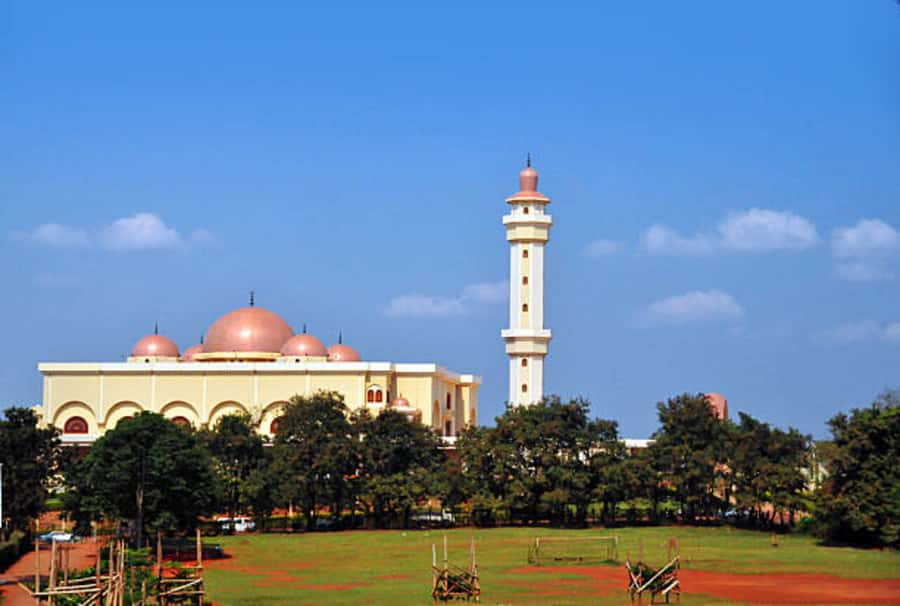 Full-Day Kampala Trip with Lunch and Hotel Transfers - What this Kampala day tour is really offering