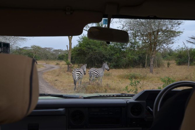 Full-Day Lake Mburo National Park Safari with Boat trip (2 day option available) - Why Lake Mburo works when you have one day