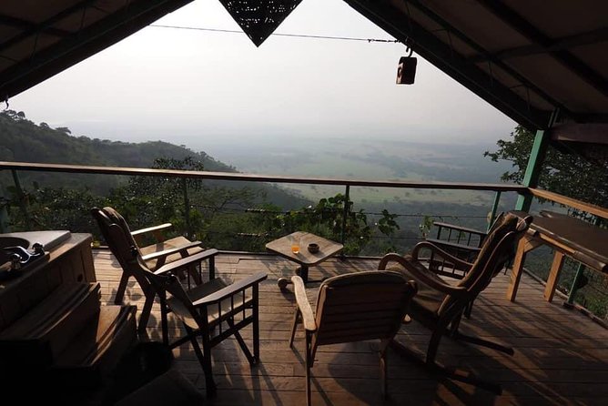 Gorilla and chimp experience holiday - What the gorilla and chimp holiday is really offering