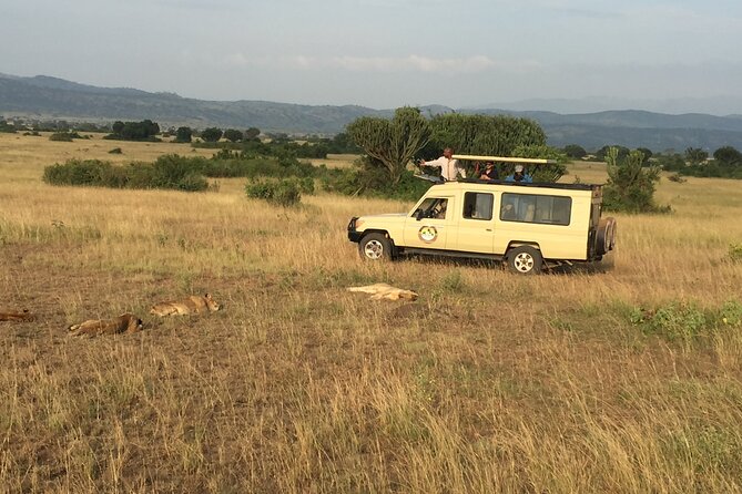 Gorilla & Chimpanzee Trekking in Uganda - 5 Days - What the $3,630 price really covers