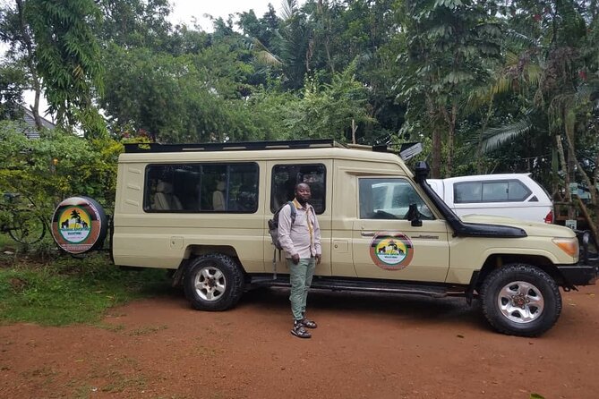 Gorilla & Chimpanzee Trekking in Uganda - 5 Days - Day 3: Ishasha lions and the road to Bwindi