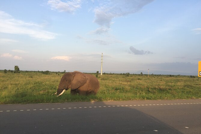Gorilla & Chimpanzee Trekking in Uganda - 5 Days - Day 1: The equator, Mbarara, and Queen Elizabeth National Park