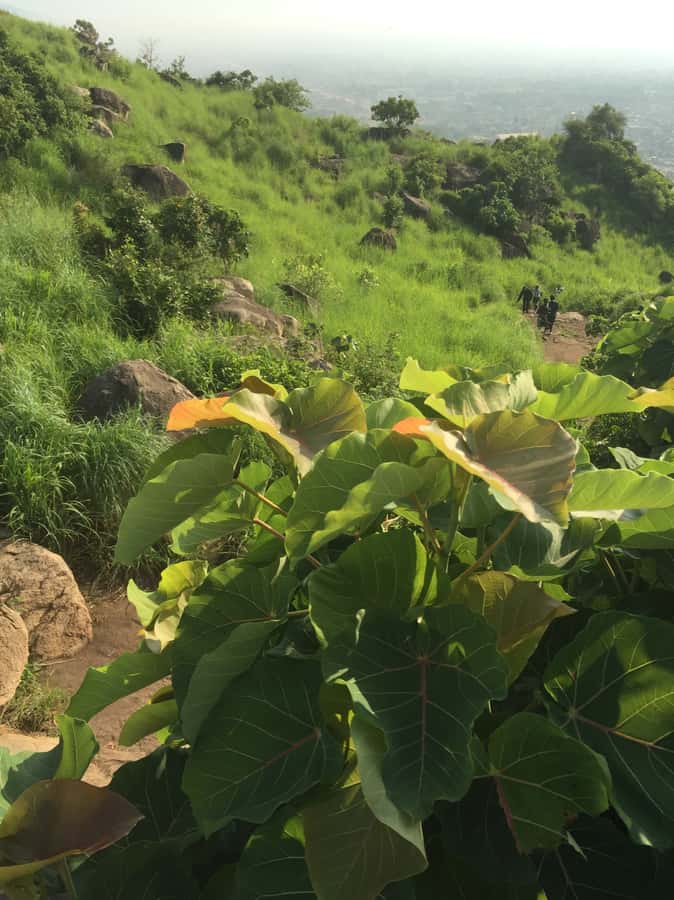 Jebel Kujur & Heroes: Half Day Tour - Climbing the rugged side of Jebel Kujur