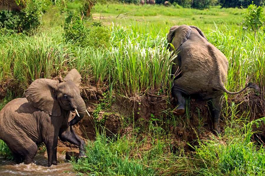 Kampala: 2-Day Murchison Falls National Park Safari - The early road from Kampala to Murchison Falls