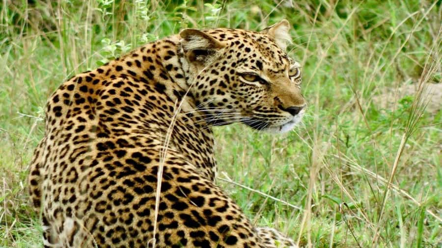 Kampala: 3-Day Murchison Falls National Park Safari - The road north and arrival at Murchison Falls
