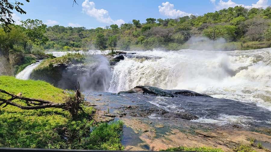 Kampala: 3-Day Murchison Falls Safari - At a glance: what makes this safari worth considering