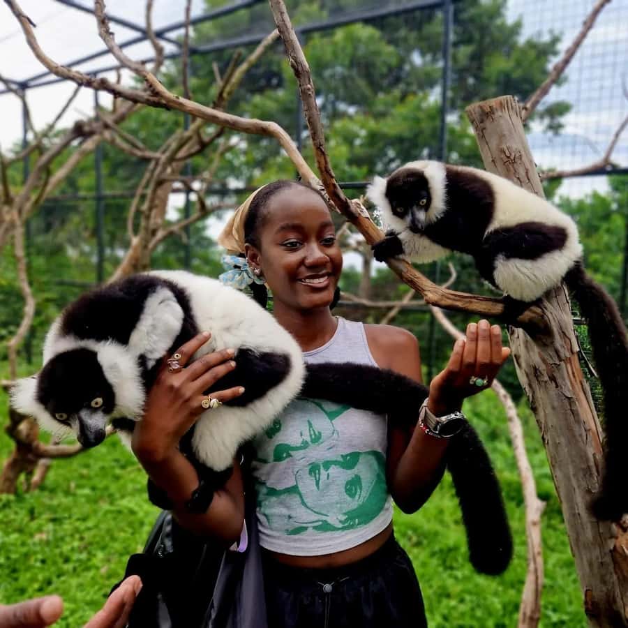 Kampala: Conservation Centre for Wildlife Guided Tour - Key points to know before booking