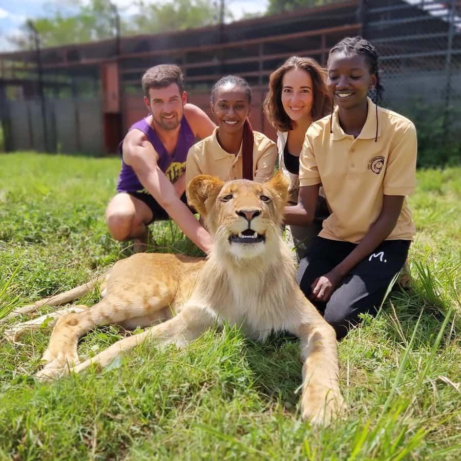 Kampala: Conservation Centre for Wildlife Guided Tour - Meeting lions, including the walking option
