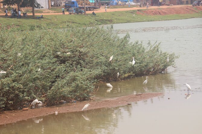 Kampala cultural tours - Kabaka’s Lake and Kampala’s royal geography
