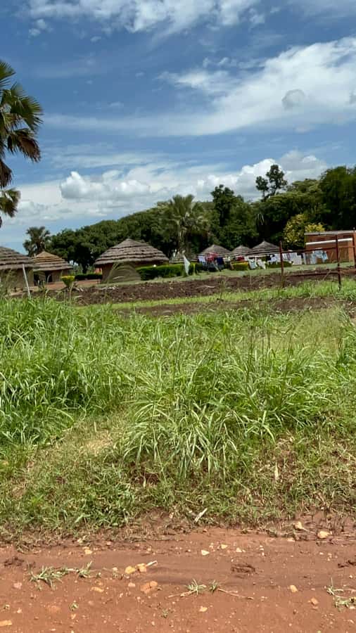 Kampala/Gulu: Traditional African Hut Building & Painting - Why this hut-building experience feels different