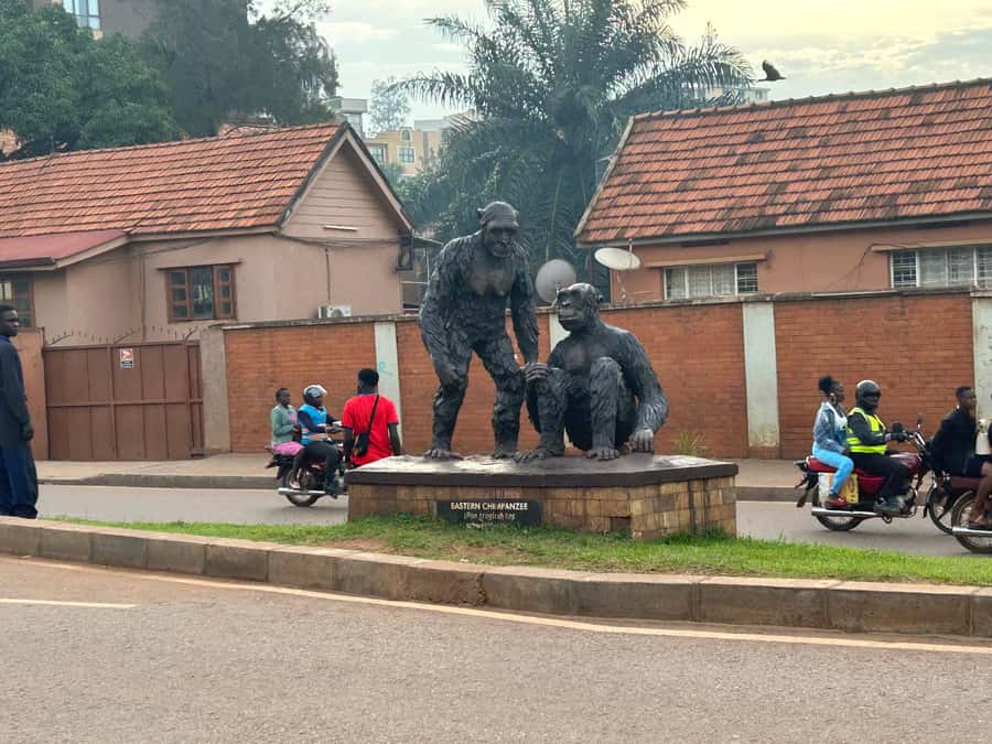 Kampala/Gulu: Traditional African Hut Building & Painting - What the three to four hours really include
