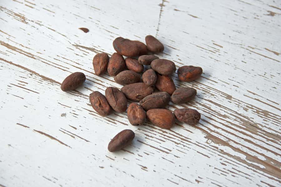 Kampala: Hands-On Chocolate Making Experience - The role of the facilitator