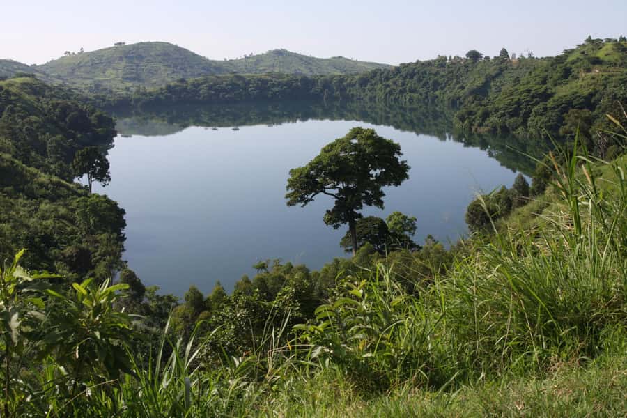 Kibale Forest Park: 3-Day Chimpanzee tracking & Crater lakes - Bigodi Wetland Sanctuary and the community connection