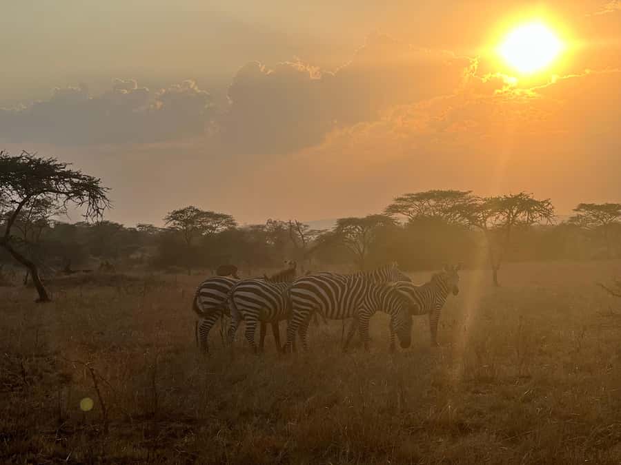 Lake Mburo: 1 Day Best of Uganda Wildlife & Equator Tour - The salt lick walk gets you out of the car