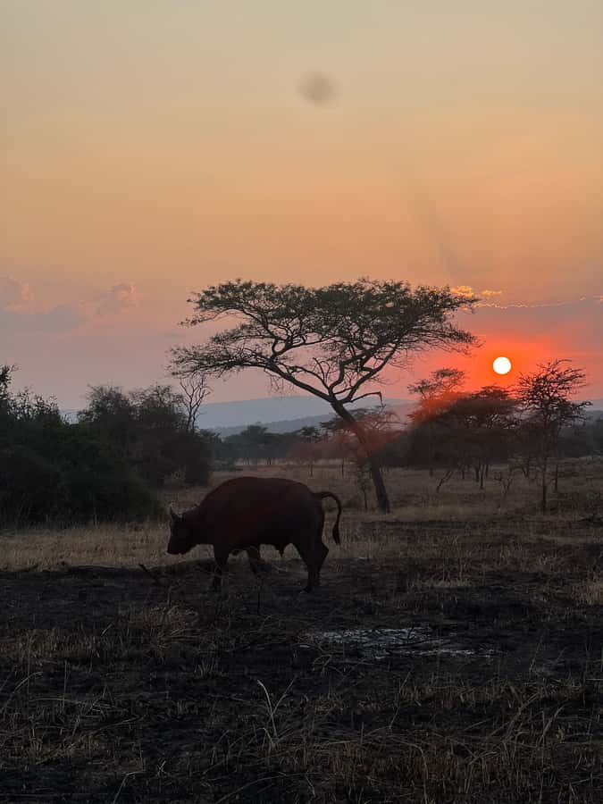 Lake Mburo: 1 Day Best of Uganda Wildlife & Equator Tour - The optional two-hour boat cruise on Lake Mburo