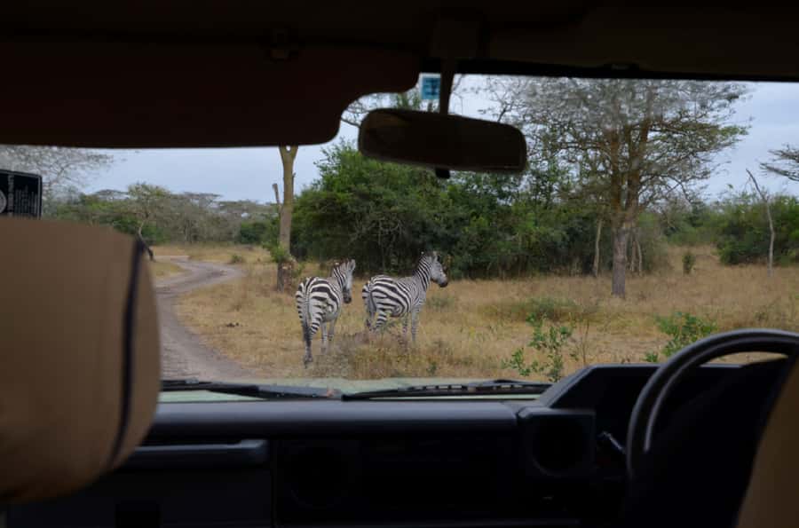 Lake Mburo National Park with Equator, Game Drive & Cruise - Booking advice and the final decision