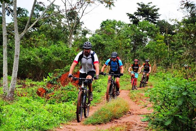 Lake Victoria Island Cycling Tour from Kampala - A quick escape from Kampala