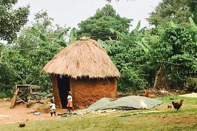 Lake Victoria Island Cycling Tour from Kampala - Cycling through Mukono’s villages and forest