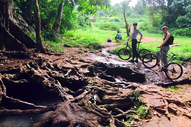 Lake Victoria Island Cycling Tour from Kampala - Bikes, helmets, and the role of the guide