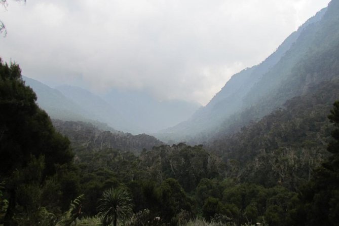 Mountain Rwenzori Trekking Uganda 9 Day Safari - Day 4: Bigo Bog and Lake Bujuku