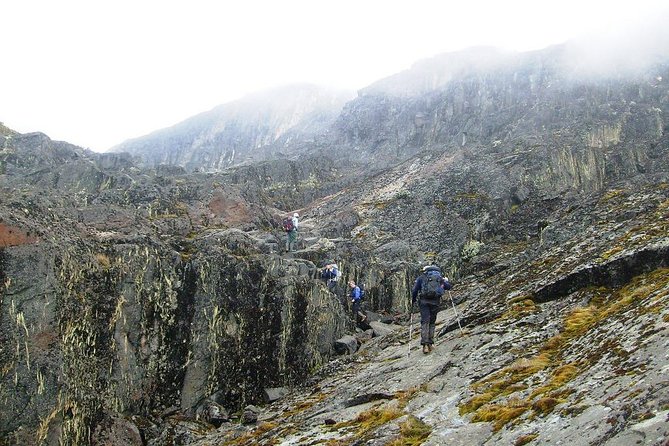 Mountain Rwenzori Trekking Uganda 9 Day Safari - Day 5: Scott Eliot Pass and Elena Hut