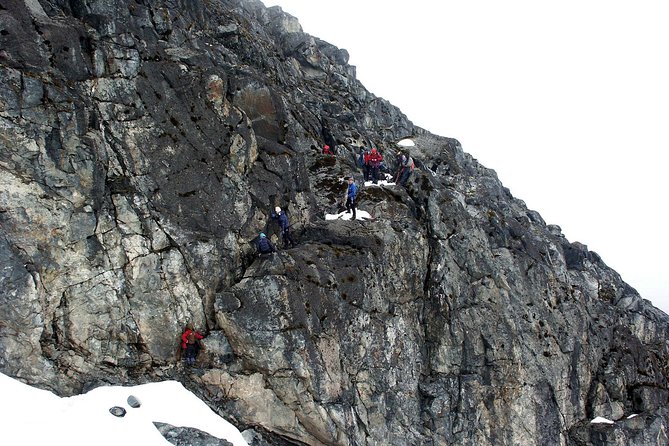 Mountain Rwenzori Trekking Uganda 9 Day Safari - Day 6: Margherita Glacier and the summit attempt