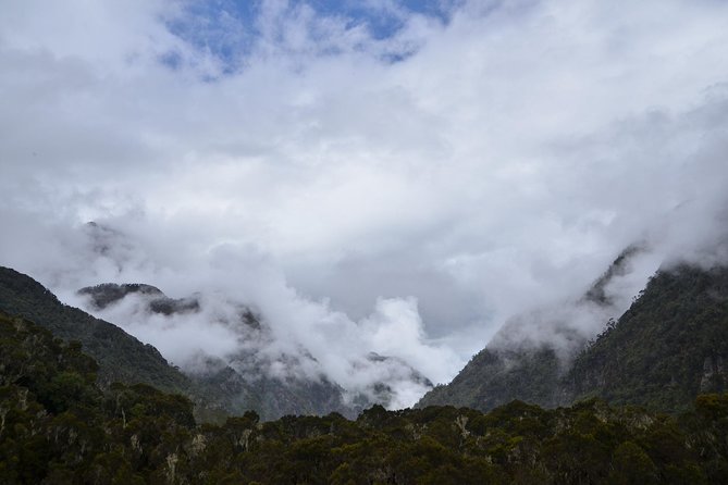 Mountain Rwenzori Trekking Uganda 9 Day Safari - Day 2: Nyakalengija to Nyabitaba Hut