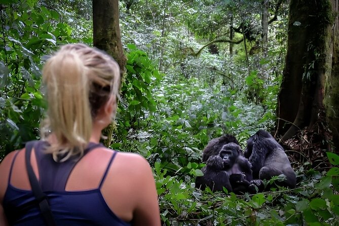 Multi Day Private Gorillas and Chimpanzee Trekking Tour in Uganda - Key points to know before booking