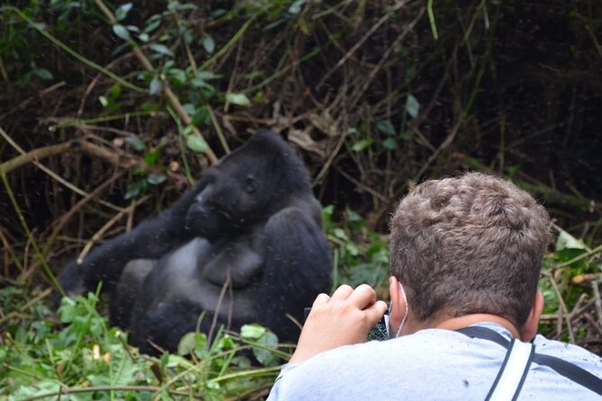 Multi Day Private Gorillas and Chimpanzee Trekking Tour in Uganda - Day 2: The long road to Kibale National Park