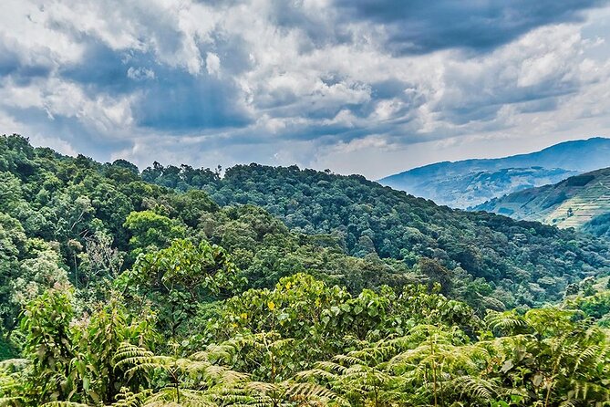 Multi Day Private Gorillas and Chimpanzee Trekking Tour in Uganda - Day 6: Kigezi views, Igongo, and the Equator crossing