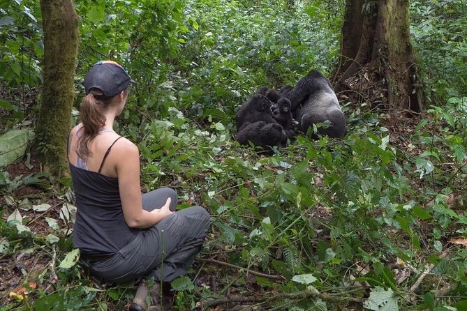 Multi Day Private Gorillas and Chimpanzee Trekking Tour in Uganda - Day 7: Airport transfer and the end of the circuit