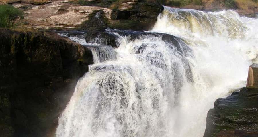 Murchison Falls National Park: 2-Day Safari with Boat Cruise - Two hours on the Nile toward the falls