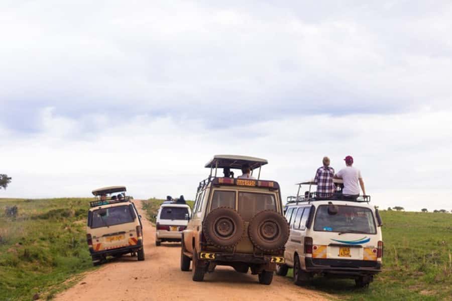 Murchison Falls National Park: 2-Day Safari with Boat Cruise - Evening wildlife after a demanding first day