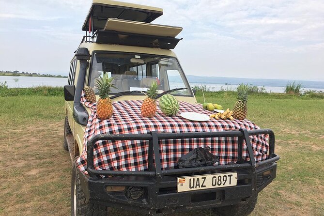 Murchison Falls National Park - 3 Days - What this three-day Murchison Falls safari is really like