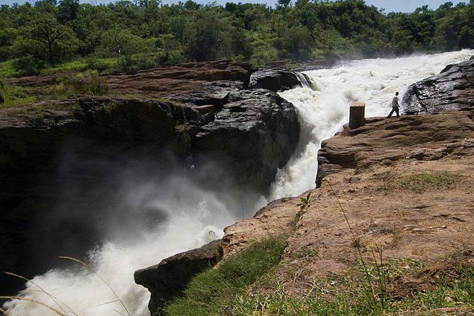 Murchison Falls National Park - 3 Days - Day 1: Entebbe, Ziwa Rhino Ranch, and the long road north