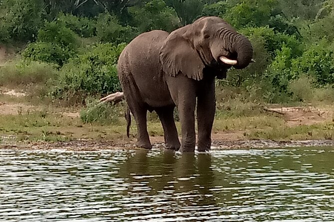 Private 3-Day Tour in Queen Elizabeth Park Safari - Day 1: A gentle arrival after the long road