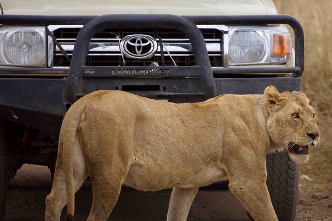 Private 3-Days of wildlife Safari exploring Uganda - The Kazinga Channel, a detail worth confirming