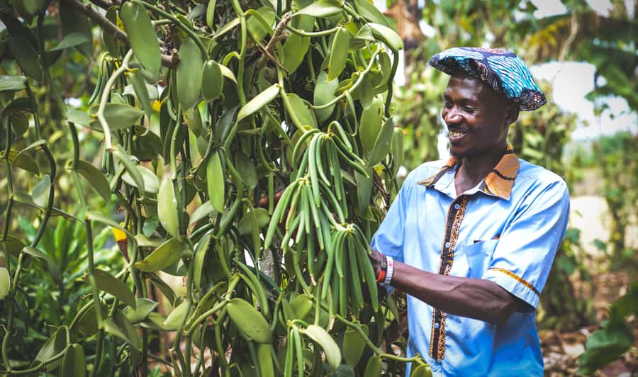 Rubalika Safari Lodge and Farm: Guided Trail Tour with Lunch - Key things to know before you go