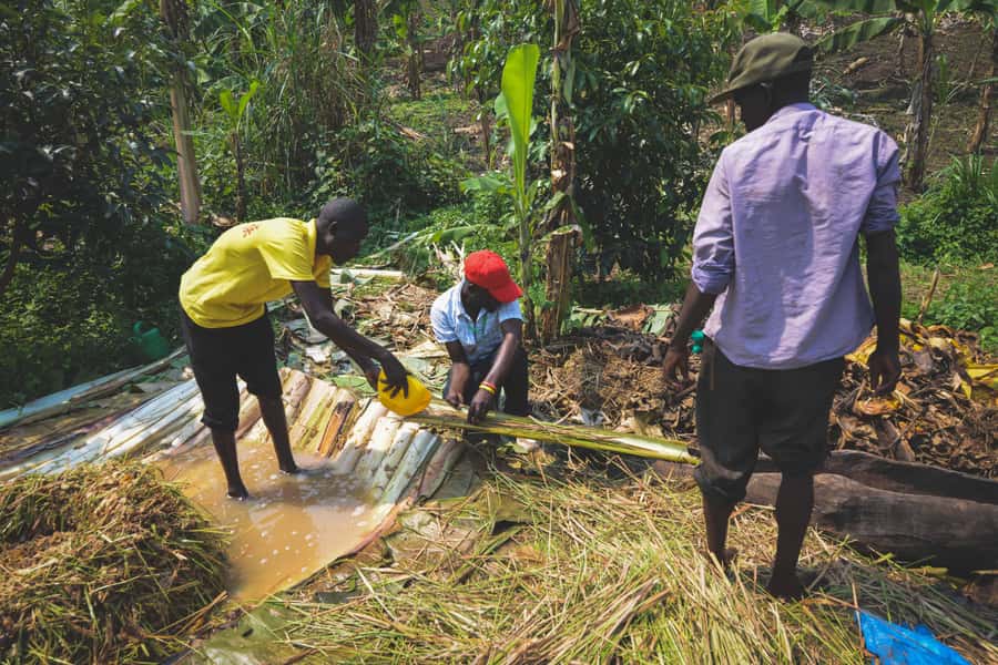 Rubalika Safari Lodge and Farm: Guided Trail Tour with Lunch - A slower side of Uganda near Kamwenge