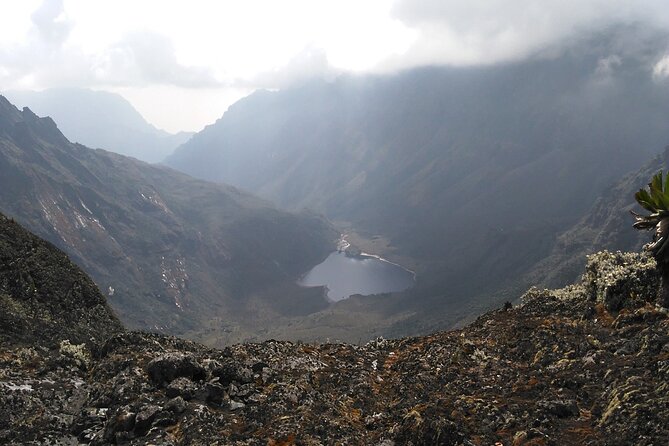 Rwenzori Mountains Trekking with Margherita Peak Summit - Day 7: Completing the circuit to Mihunga Gate